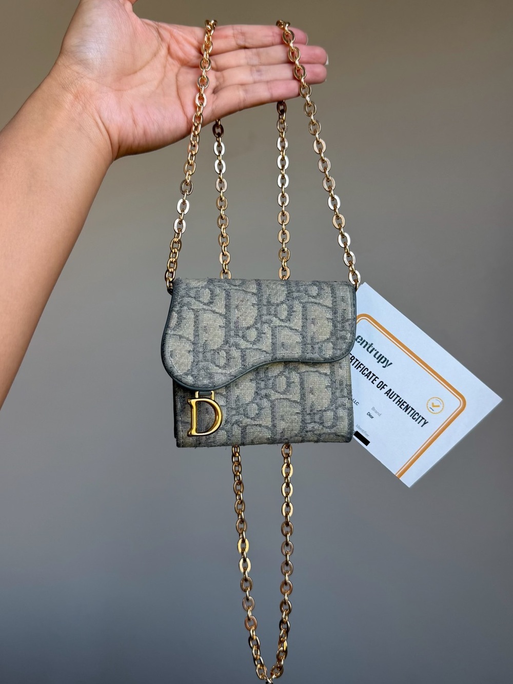 Auth Christian Dior Lotus Saddle Compact Wallet Grey Oblique Trotter